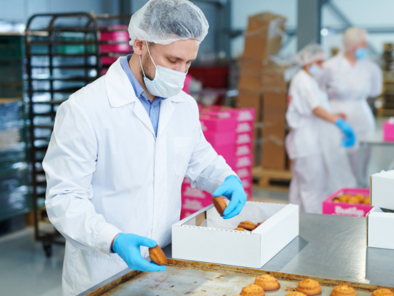 Food Processing & Hygiene