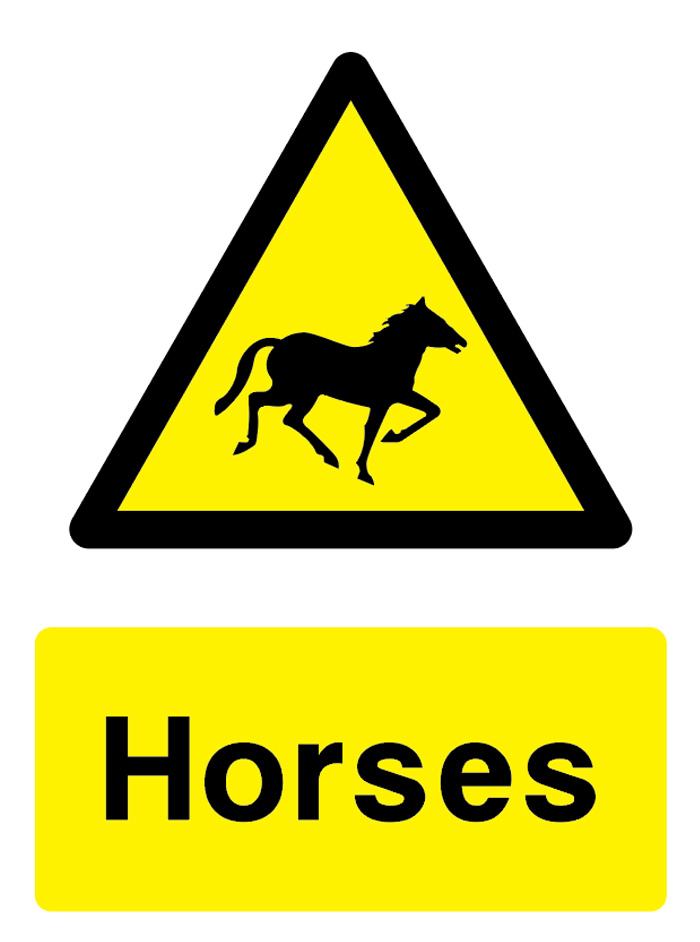 Horses