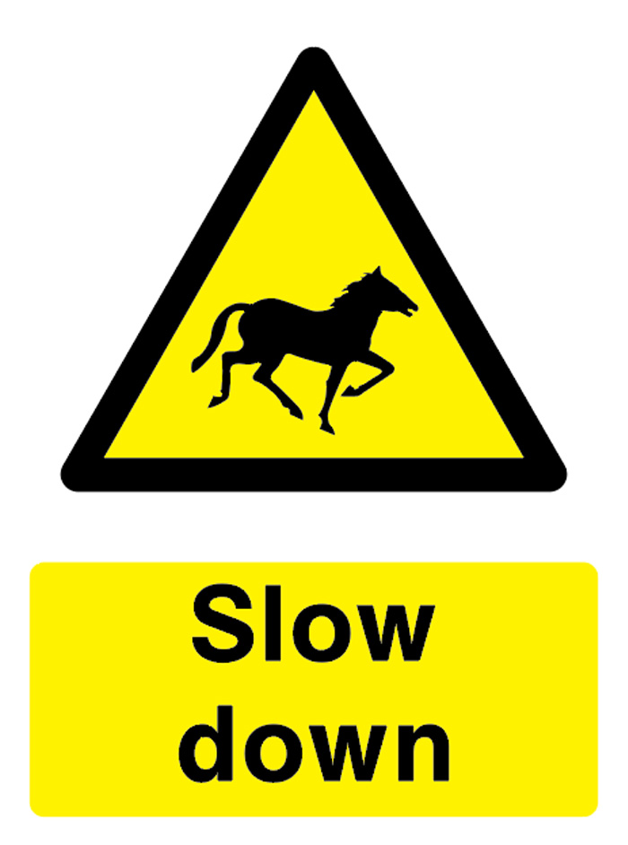 Slow Down (Horse)