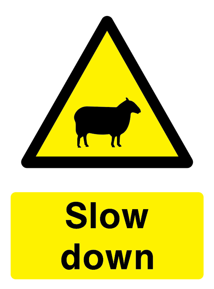 Slow Down (Sheep)