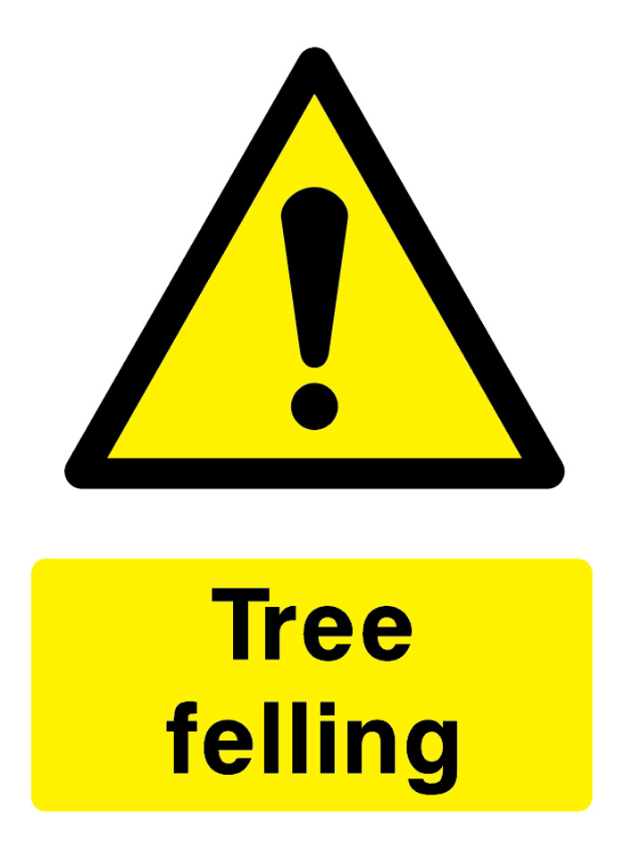 Tree Felling