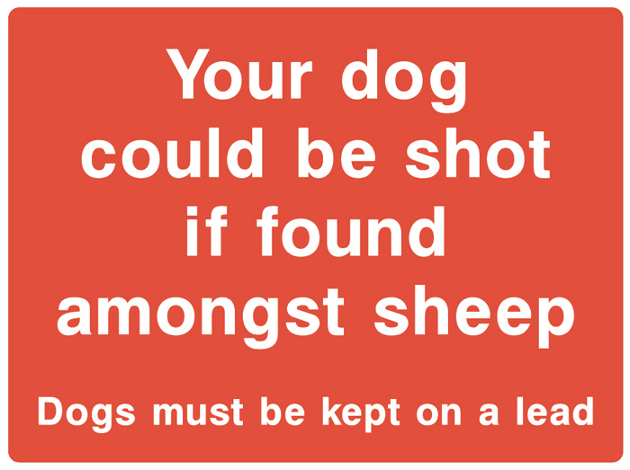 Your Dog Could Be Shot If Found Amongst Sheep